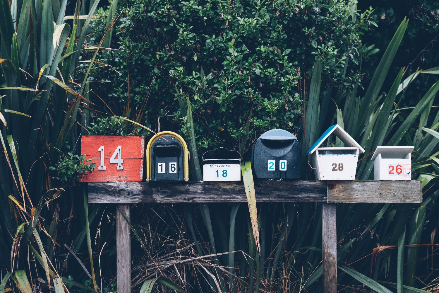 sendtodeliver lead nurturing volgende hire
